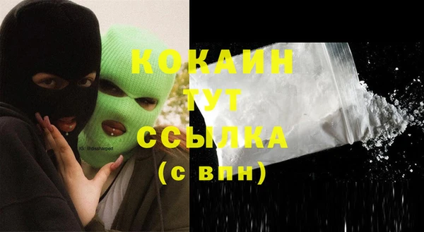 твердый Касимов