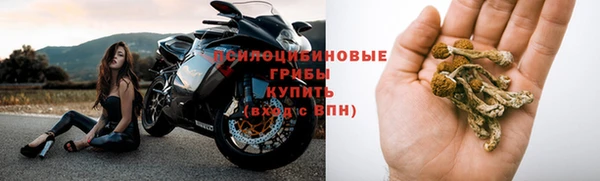 твердый Касимов