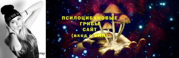 твердый Касимов