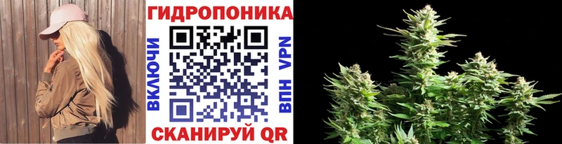 Марихуана OG Kush  Купить  Куса 